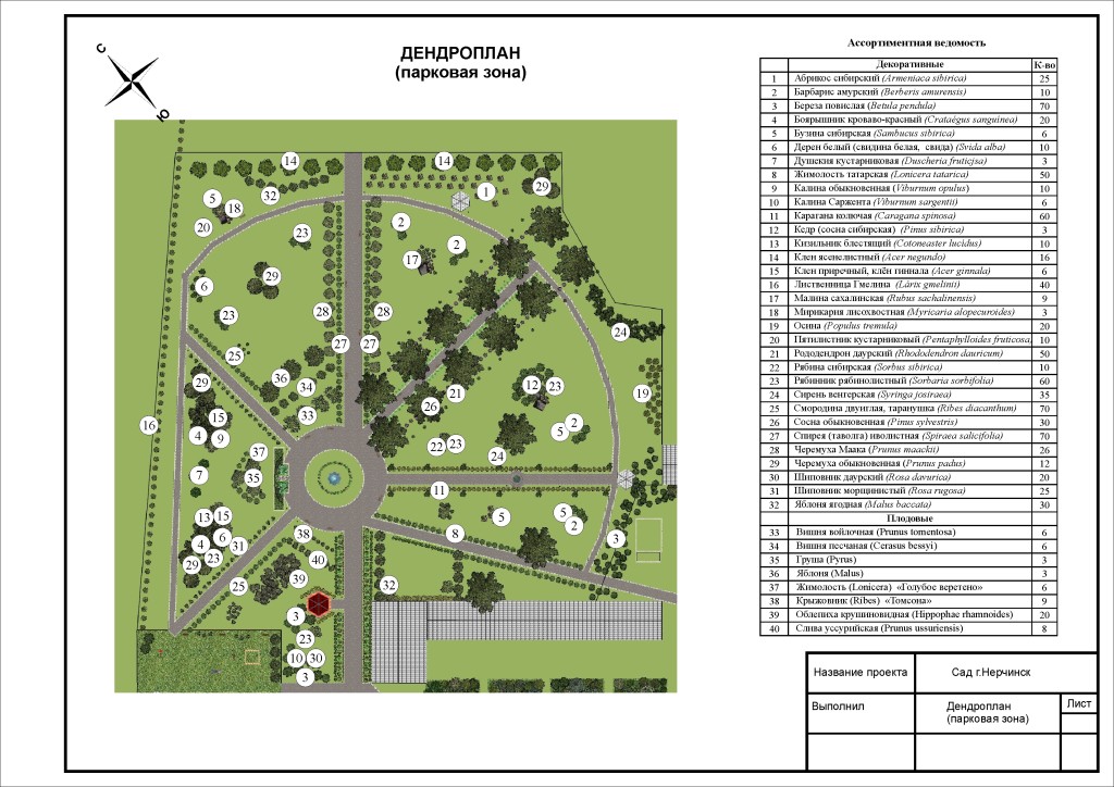 В каком разделе плана. Планировка парка дендрологический проект. Дендроплан парка чертеж. Дендрологический план парка. Дендроплан в ландшафтном.