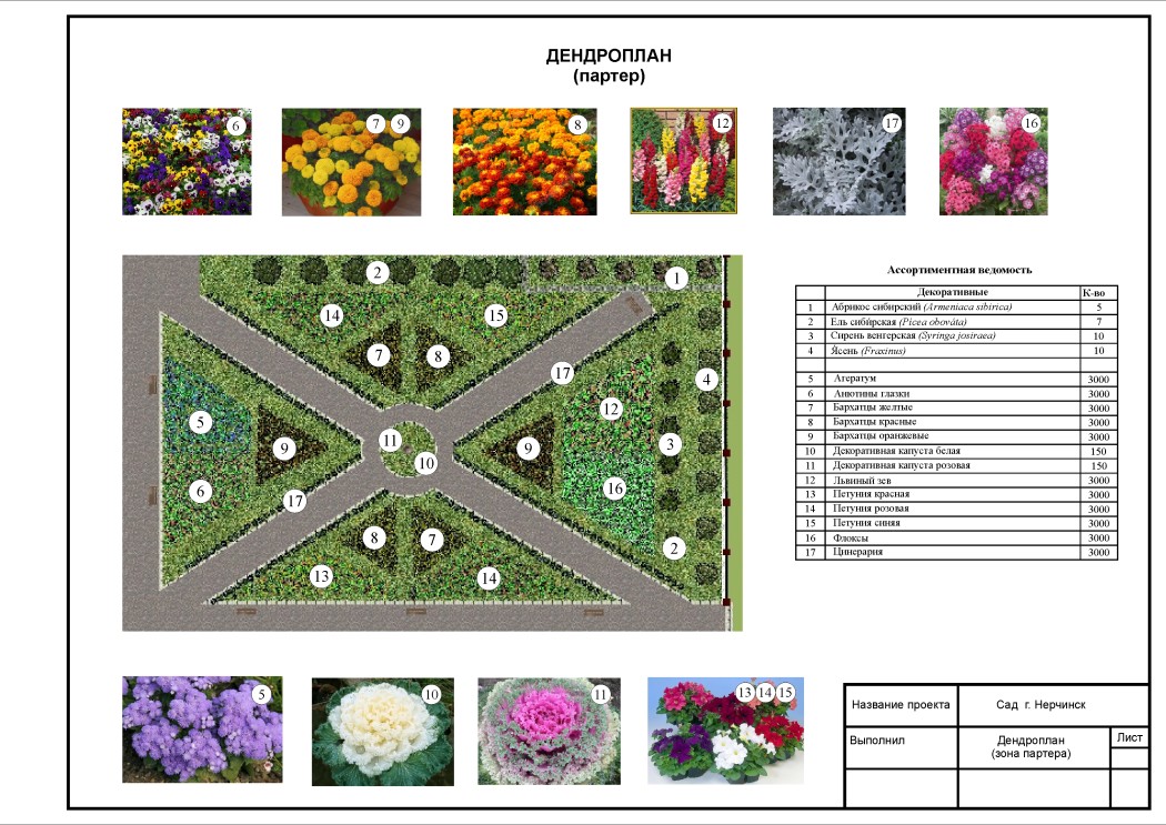 Партерный цветник эскиз